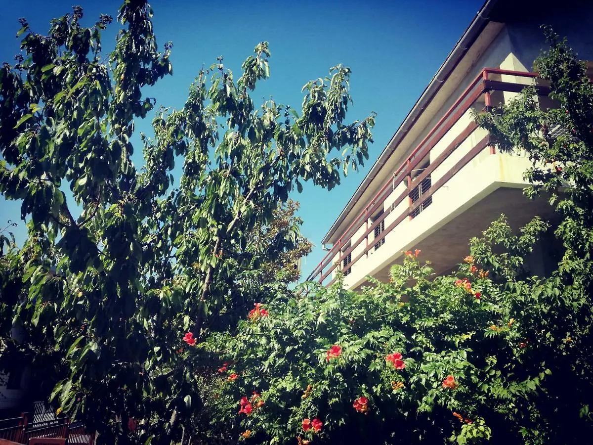 Apartment Villa Letina Sukosan