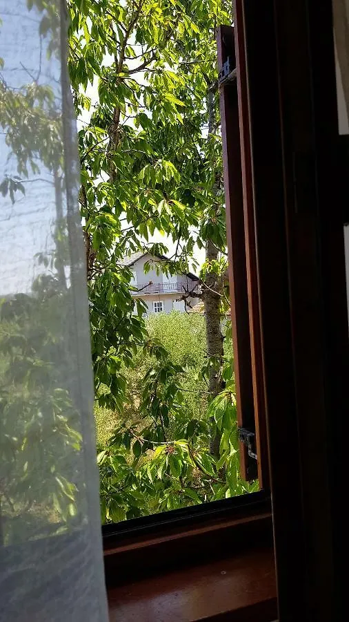 Apartment Villa Letina Sukosan